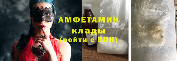 эйфоретик Гусь-Хрустальный