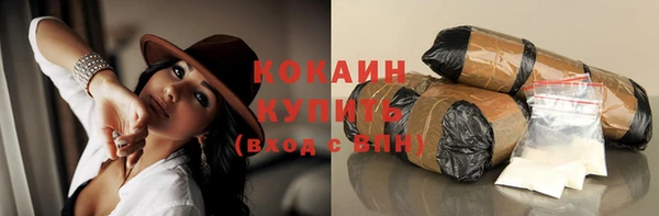эйфоретик Гусь-Хрустальный