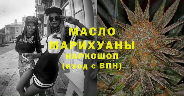 эйфоретик Гусь-Хрустальный